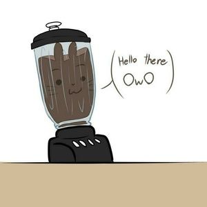 Meet your Posher, Ralen